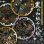 Photo1: 010631 Black Washi Chiyogami (1)